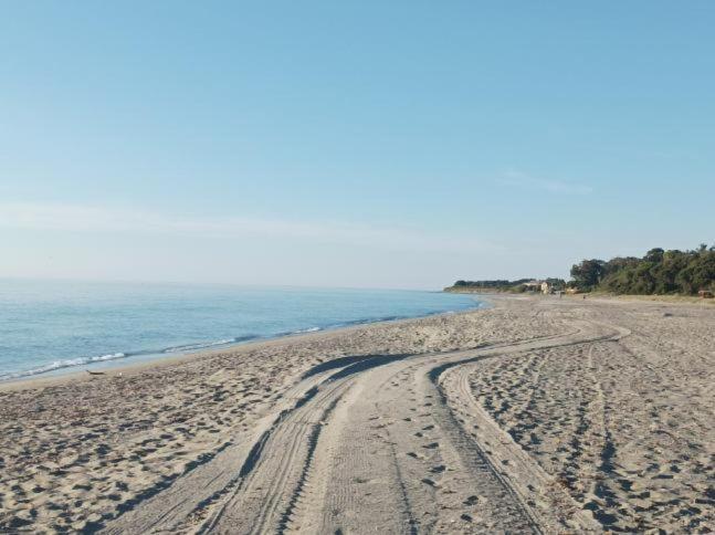 Villa Climatisee A Nuciola Prunete Entre Mer, Montagne Et Piscine Cervione Bagian luar foto