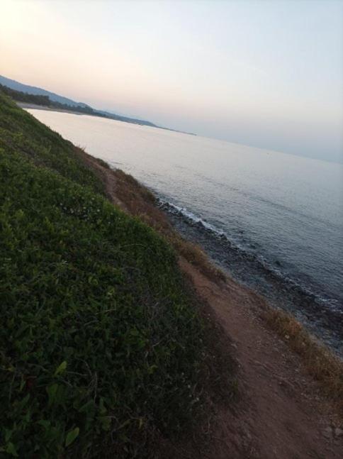 Villa Climatisee A Nuciola Prunete Entre Mer, Montagne Et Piscine Cervione Bagian luar foto