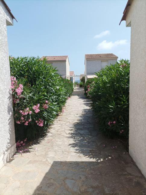 Villa Climatisee A Nuciola Prunete Entre Mer, Montagne Et Piscine Cervione Bagian luar foto