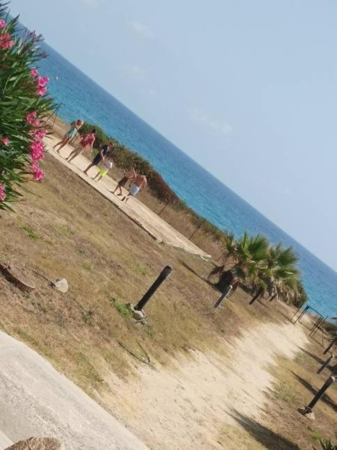 Villa Climatisee A Nuciola Prunete Entre Mer, Montagne Et Piscine Cervione Bagian luar foto