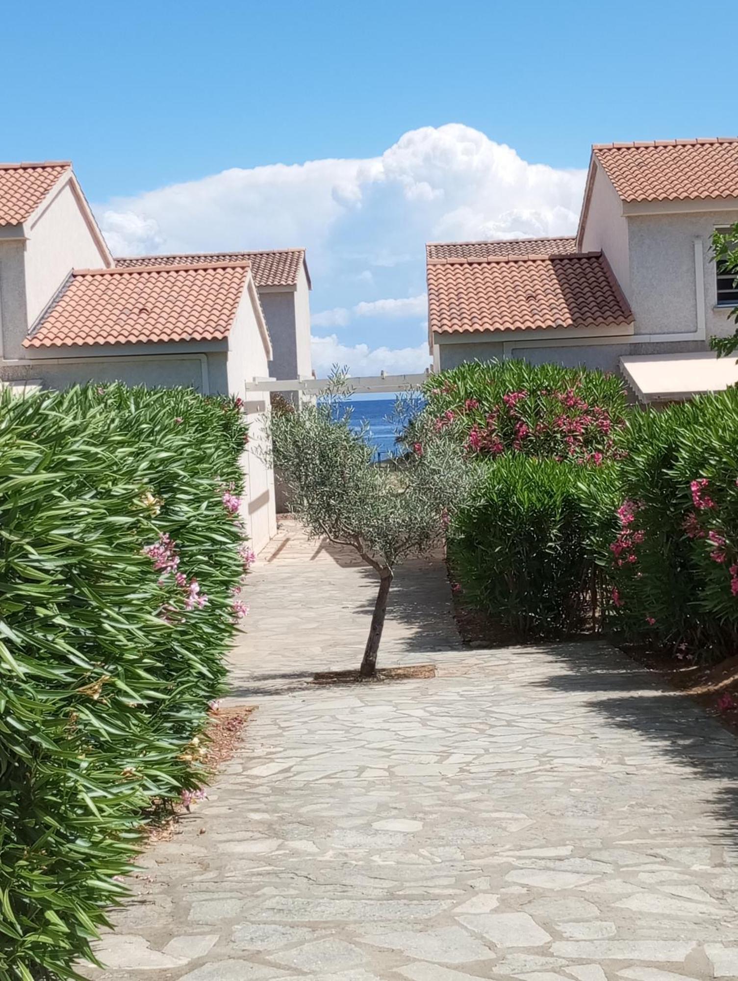 Villa Climatisee A Nuciola Prunete Entre Mer, Montagne Et Piscine Cervione Bagian luar foto