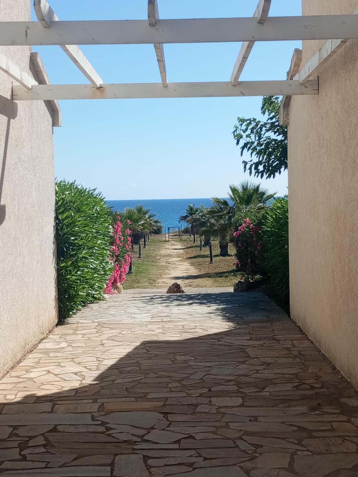 Villa Climatisee A Nuciola Prunete Entre Mer, Montagne Et Piscine Cervione Bagian luar foto